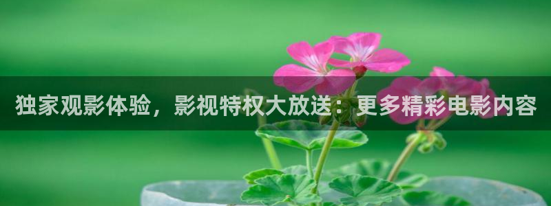成人超碰在线视频：独家观影体验，影视特权大放送：更多精彩电影内容