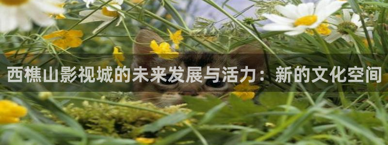 超碰在线免费窝窝：西樵山影视城的未来发展与活力：新的文化空间