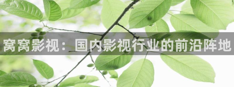 97超碰个人在线：窝窝影视：国内影视行业的前沿阵地