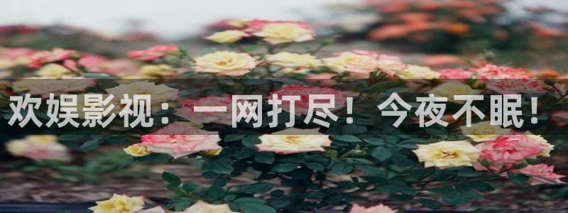 超碰caopeng在线：欢娱影视：一网打尽！今夜不眠！