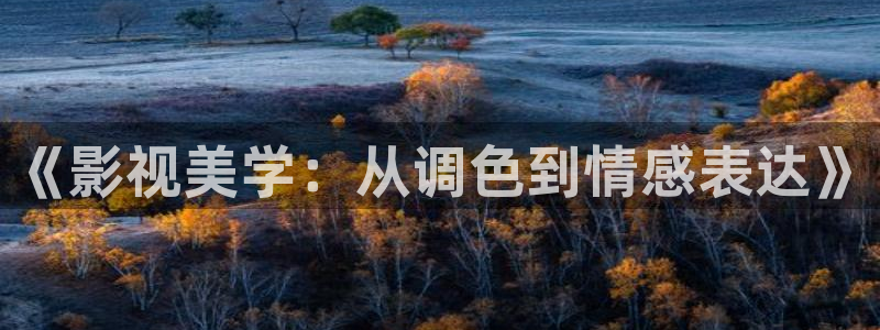 超碰在线免费av：《影视美学：从调色到情感表达》